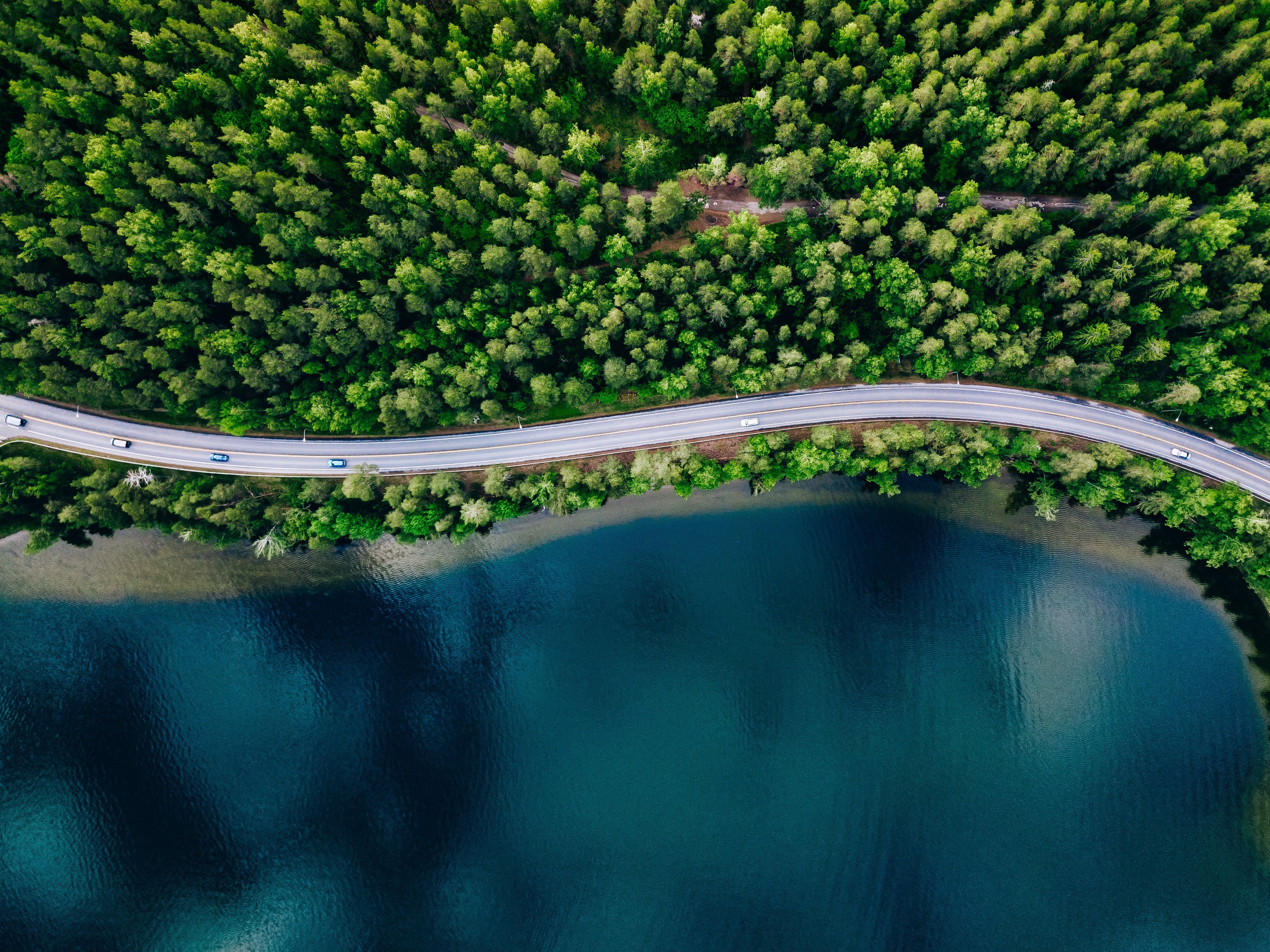 Aerial view of a winding road cutting through a dense green forest beside a serene blue lake