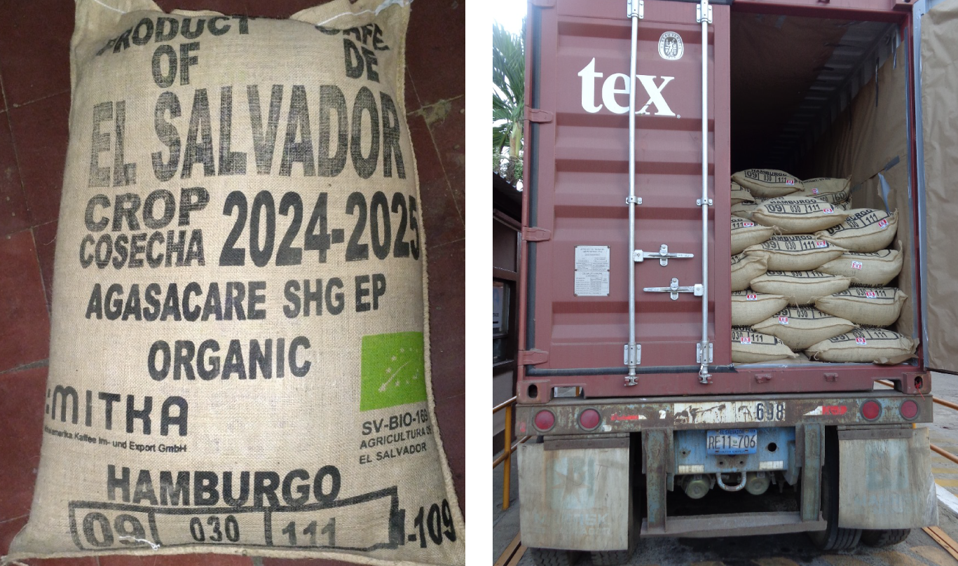 Importacion-de-Cafe-del-salvador-AGASACARE-a-Alemania
