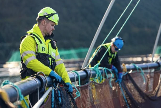 Two Kiwa auditors in safety gear inspect and manage fishing nets on a fish farm, with mountains in the background, highlighting aquaculture activities