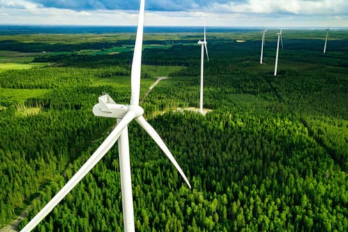 open plan of a forest with wind turbine generators