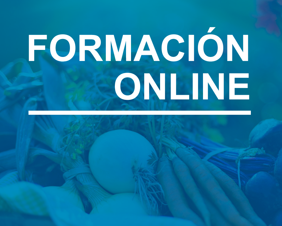 portada formación online