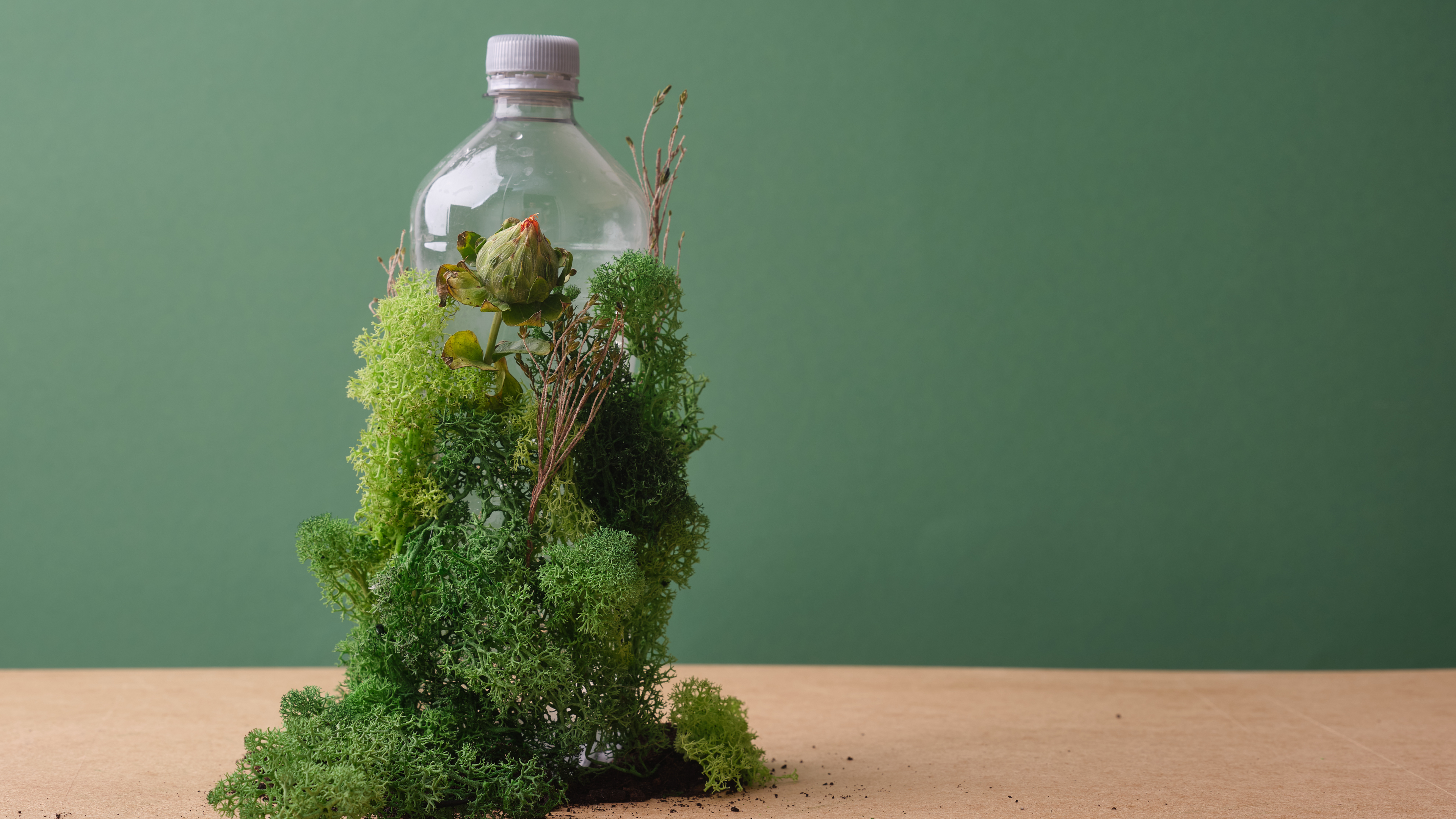 Plastic bottle with moss and flowers against a green background, symbolizing eco-friendly and sustainable practices