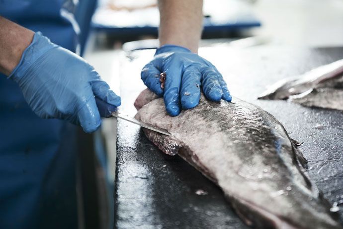 Inspección pesquera