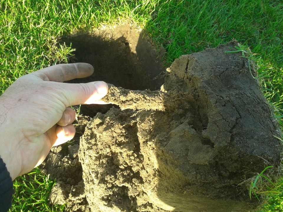 Grasonderhoud met holle pen | Kiwa ISA Sport